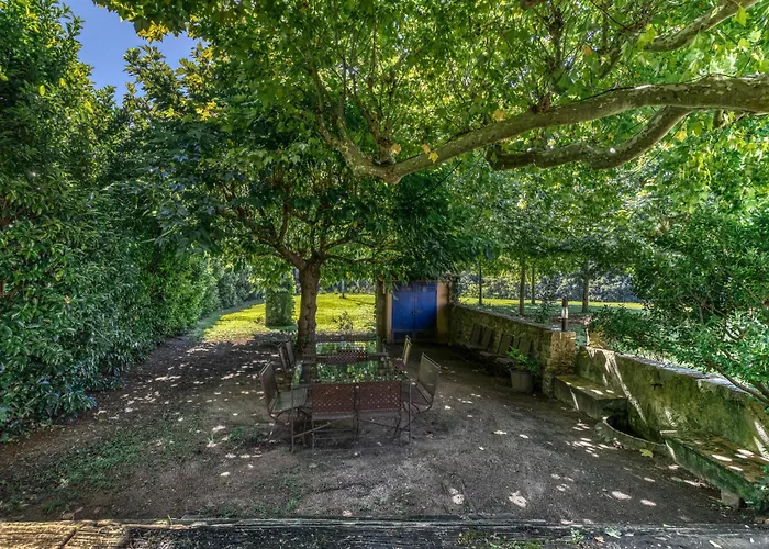 Riera De La Pineda * Girona